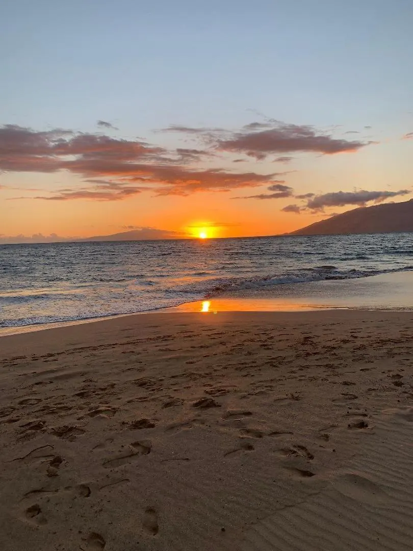Hale Kamaole 338 Villa Wailea  United States